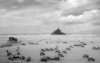 Le mont St Michel (1999)